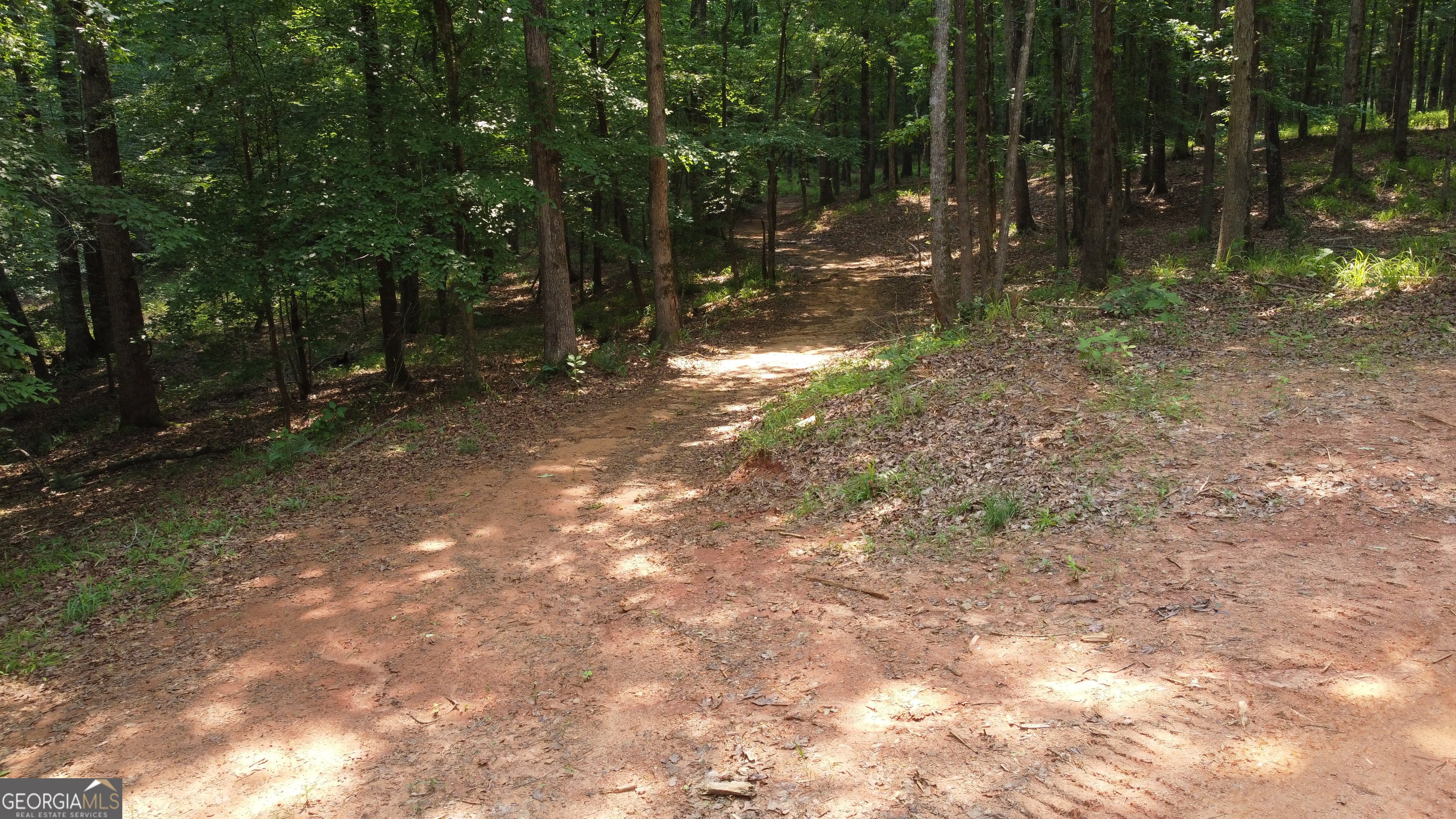 1520 Marshall Wilkes Road Watkinsville GA 30677