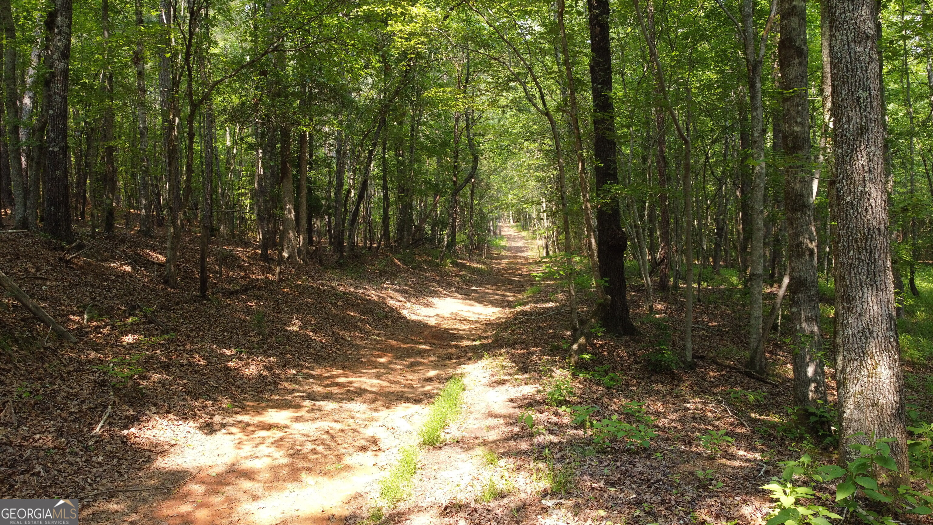 1520 Marshall Wilkes Road Watkinsville GA 30677