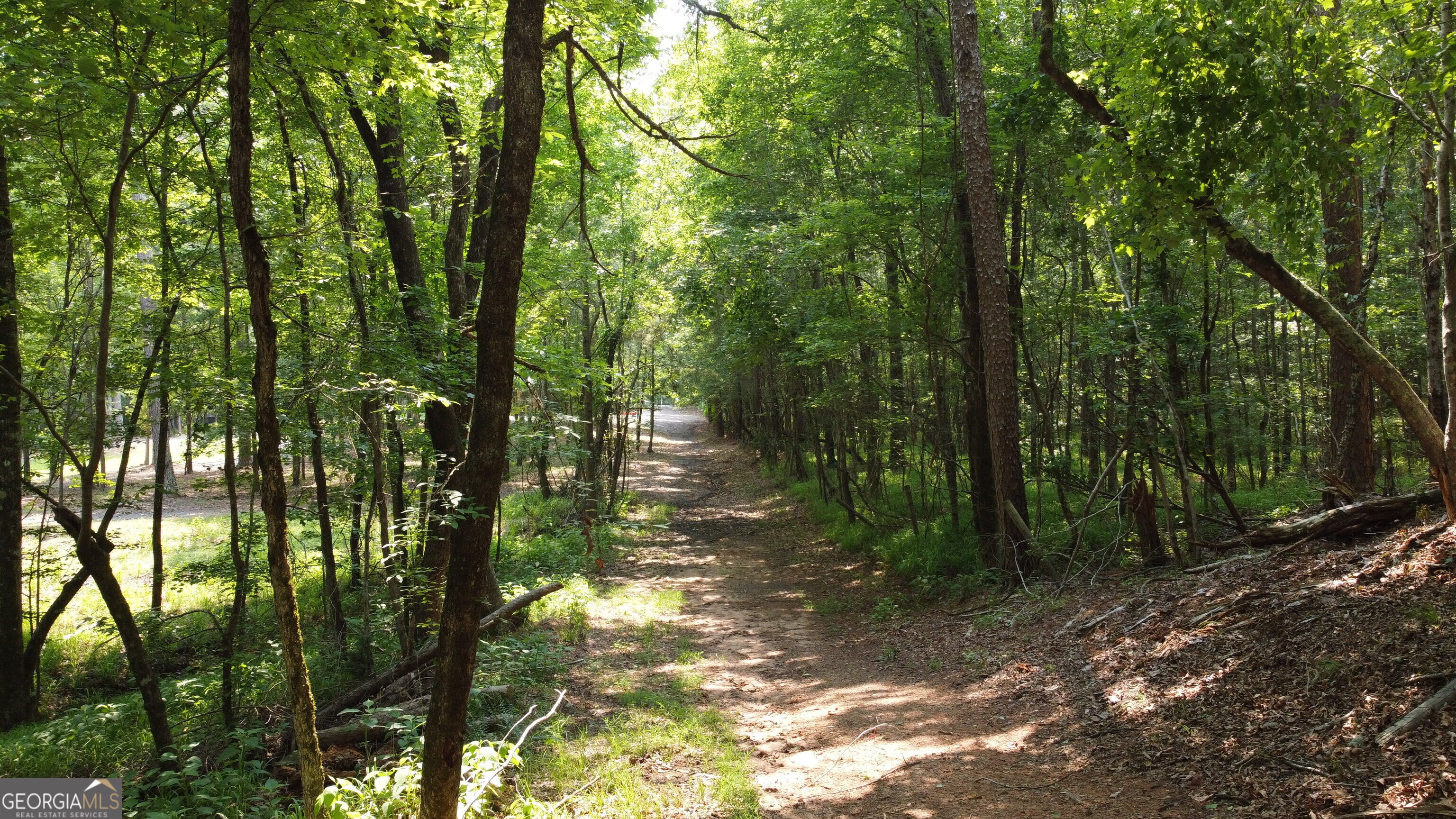 1520 Marshall Wilkes Road Watkinsville GA 30677