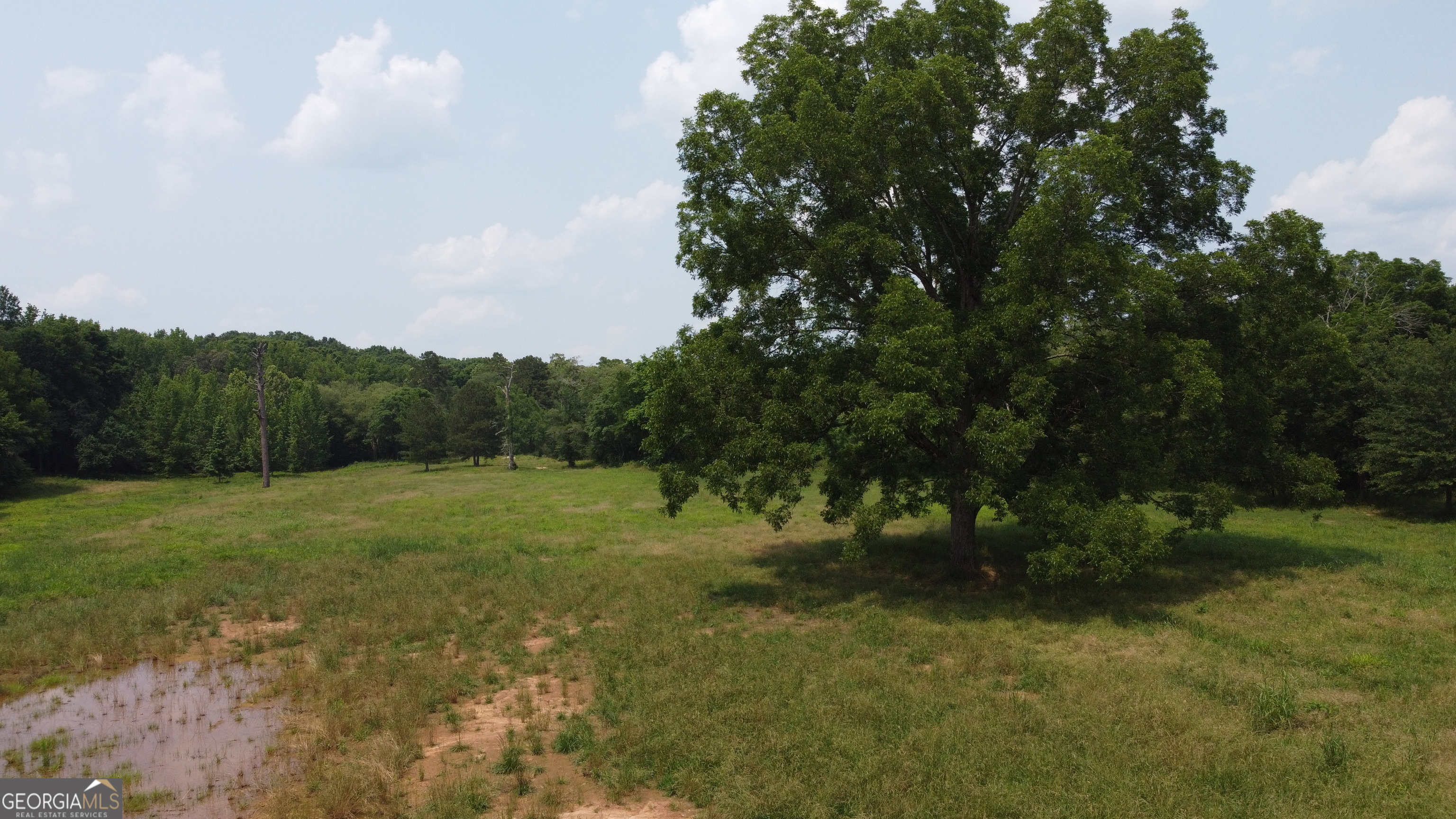 1520 Marshall Wilkes Road Watkinsville GA 30677