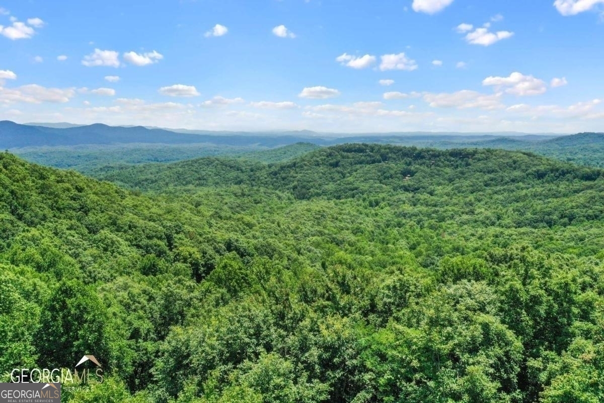 9-D Double Knob Road Ellijay GA 30540