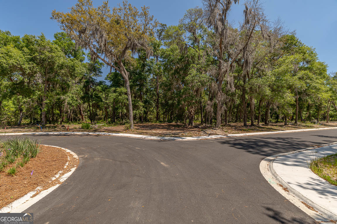 131 Canopy Lane St. Simons Island GA 31522
