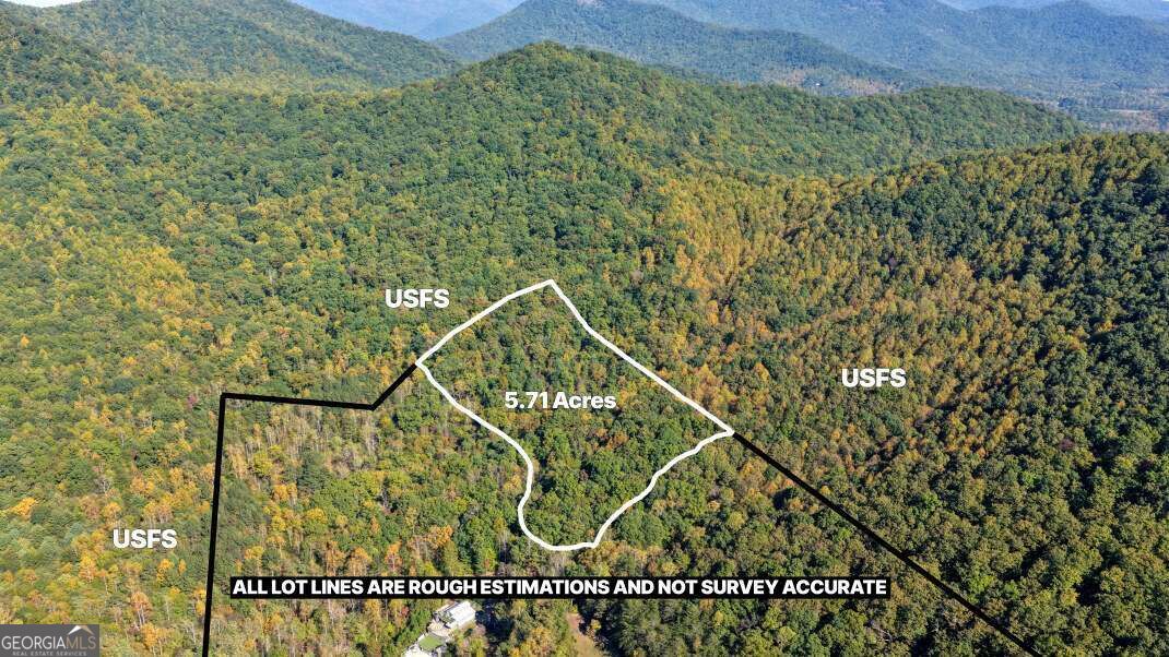 5.71 Ac Forest Service 117 Road Blairsville GA 30512