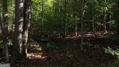 5.71 Ac Forest Service 117 Road Blairsville GA 30512