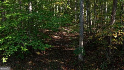 5.71 Ac Forest Service 117 Road Blairsville GA 30512