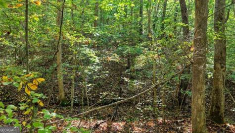 5.71 Ac Forest Service 117 Road Blairsville GA 30512