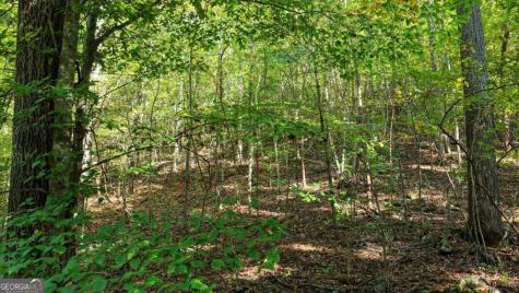 5.71 Ac Forest Service 117 Road Blairsville GA 30512