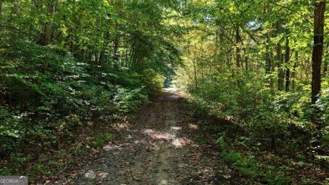 5.71 Ac Forest Service 117 Road Blairsville GA 30512