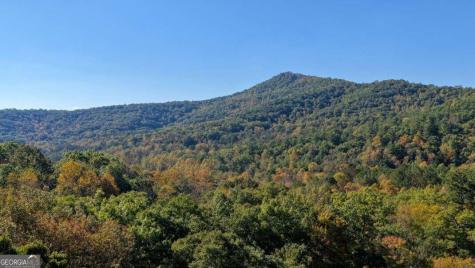 5.71 Ac Forest Service 117 Road Blairsville GA 30512