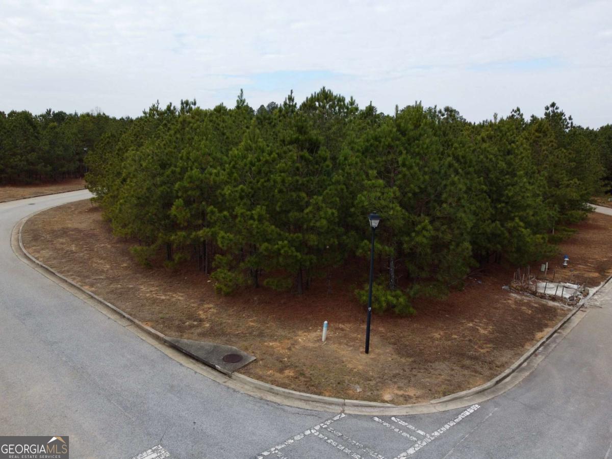 1002 Towne Circle Social Circle GA 30025