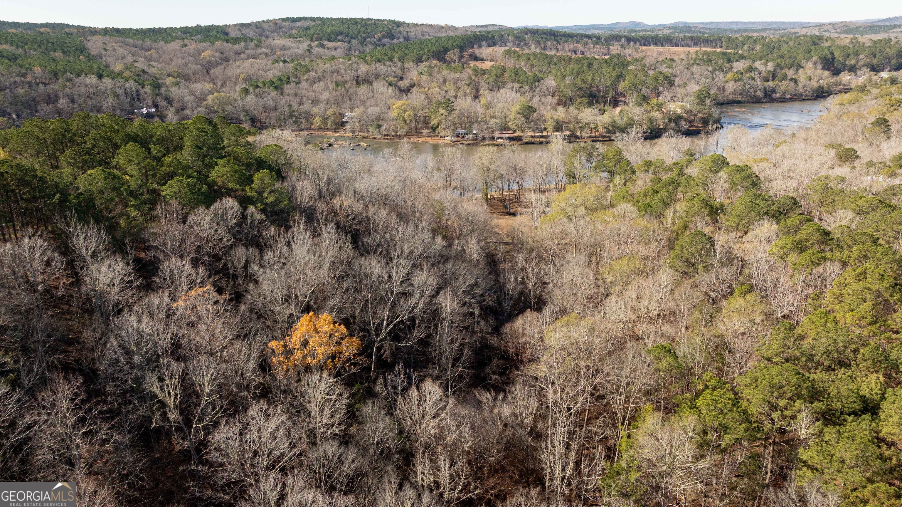 0 Cahaba Shoals Drive Thomaston GA 30286