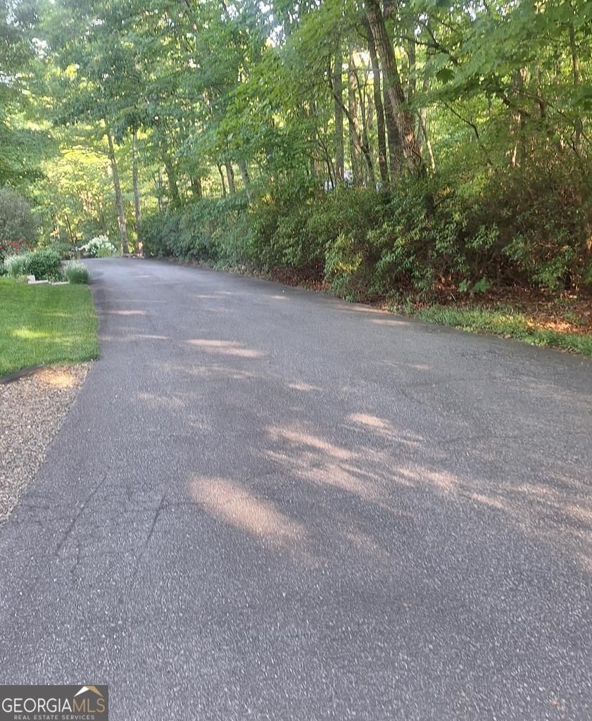 9 Cook Mountain Drive Blairsville GA 30512