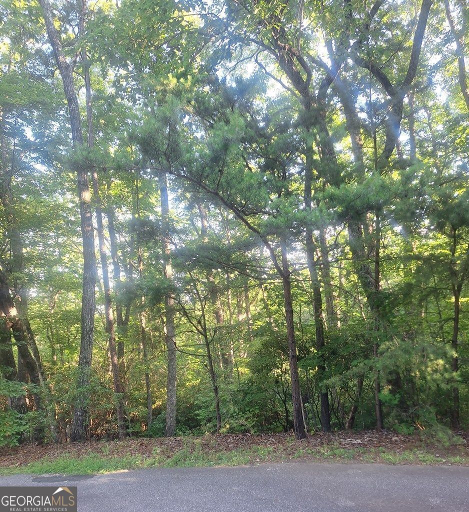 9 Cook Mountain Drive Blairsville GA 30512