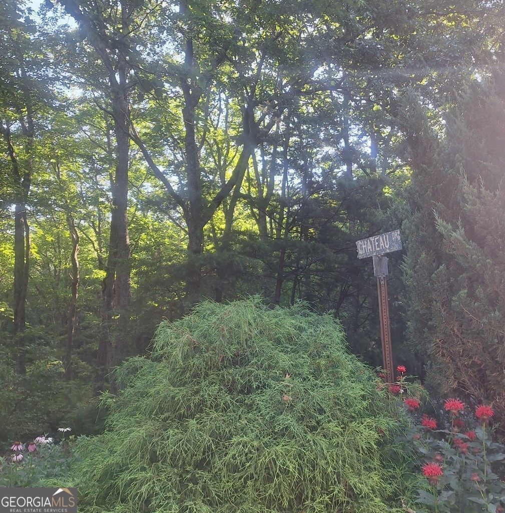 9 Cook Mountain Drive Blairsville GA 30512