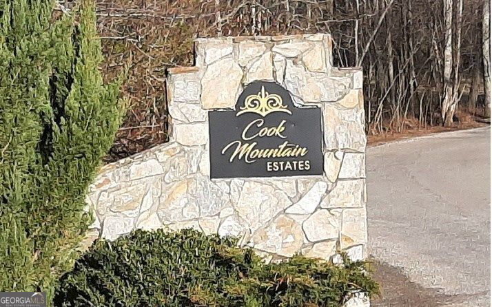 9 Cook Mountain Drive Blairsville GA 30512