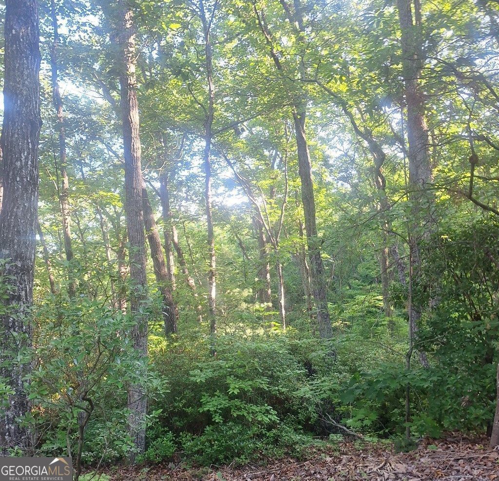 9 Cook Mountain Drive Blairsville GA 30512
