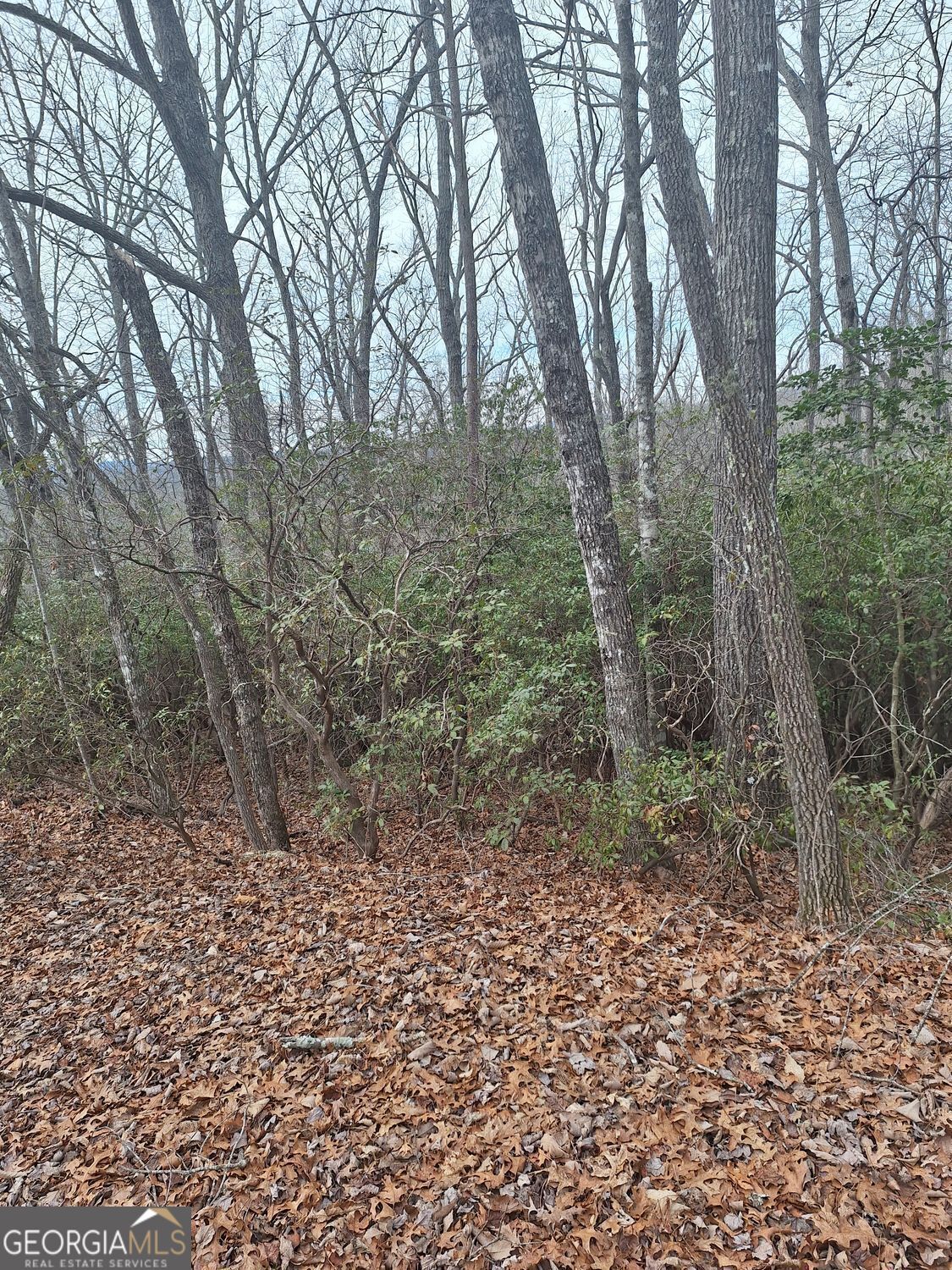 9 Cook Mountain Drive Blairsville GA 30512