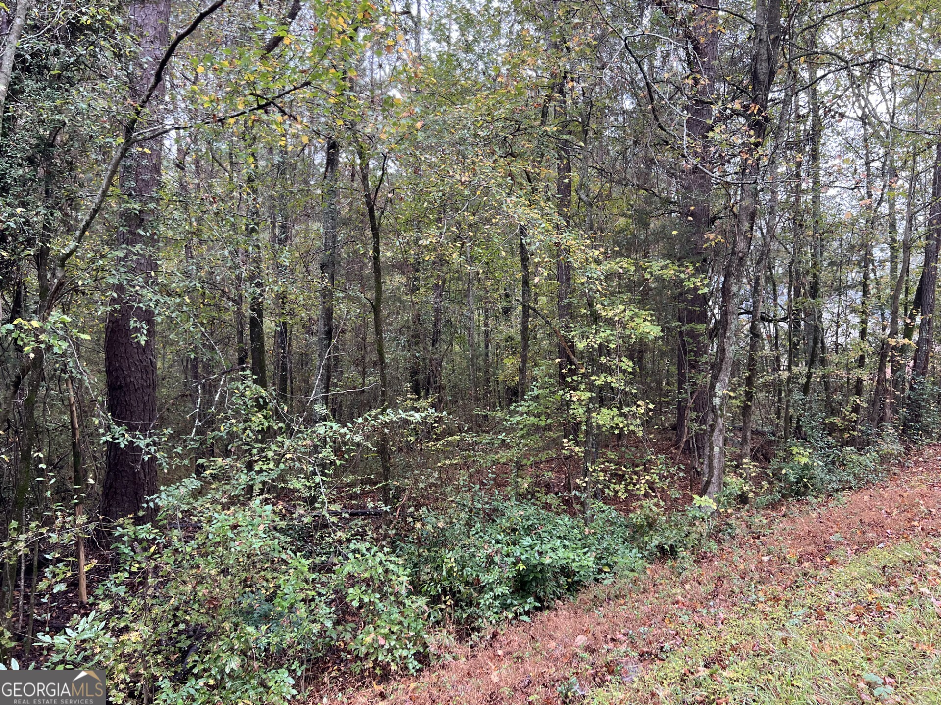 266 Clinton Crossing Drive Gray GA 31032