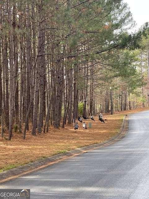 124 Hawks Court Ball Ground GA 30107