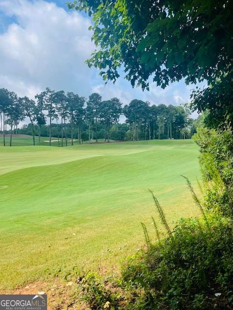 124 Hawks Court Ball Ground GA 30107