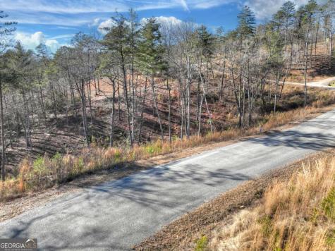 Lot 16 Mountain Laurel Ridge Mineral Bluff GA 30559