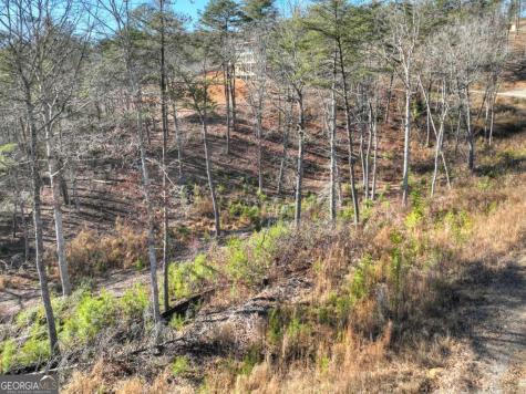 Lot 16 Mountain Laurel Ridge Mineral Bluff GA 30559