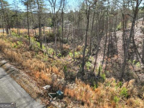 Lot 16 Mountain Laurel Ridge Mineral Bluff GA 30559