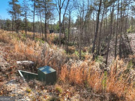 Lot 16 Mountain Laurel Ridge Mineral Bluff GA 30559