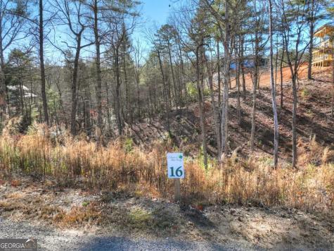 Lot 16 Mountain Laurel Ridge Mineral Bluff GA 30559