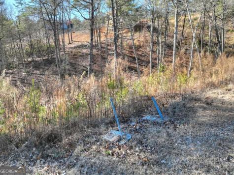 Lot 16 Mountain Laurel Ridge Mineral Bluff GA 30559