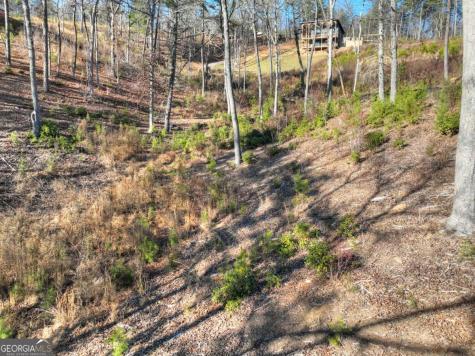Lot 16 Mountain Laurel Ridge Mineral Bluff GA 30559