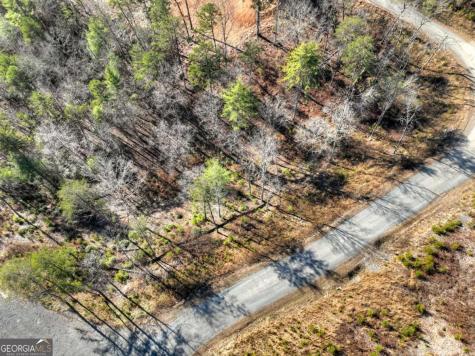 Lot 16 Mountain Laurel Ridge Mineral Bluff GA 30559