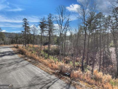 Lot 16 Mountain Laurel Ridge Mineral Bluff GA 30559