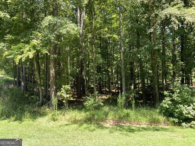 1101 Anchor Bay Circle Greensboro GA 30642