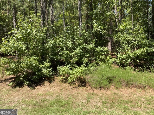 1101 Anchor Bay Circle Greensboro GA 30642
