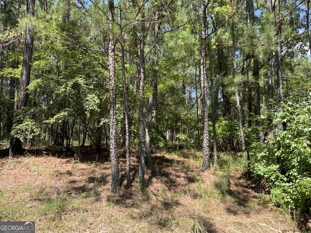 1101 Anchor Bay Circle Greensboro GA 30642