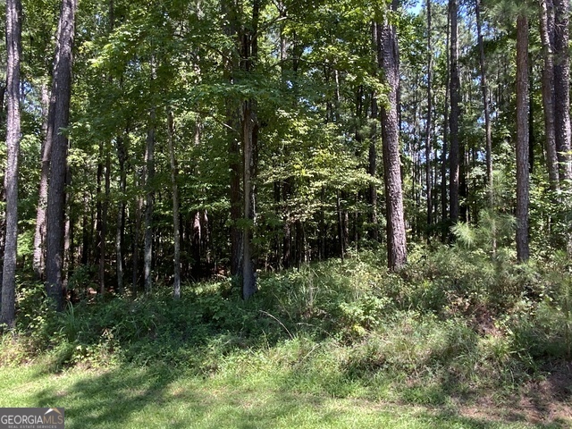 1101 Anchor Bay Circle Greensboro GA 30642