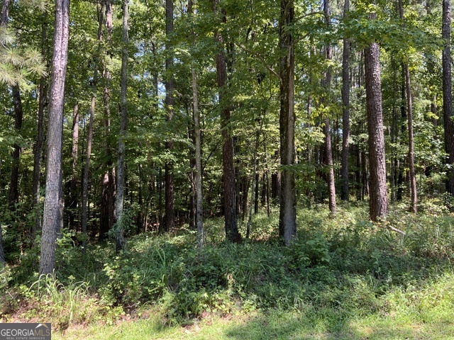 1101 Anchor Bay Circle Greensboro GA 30642