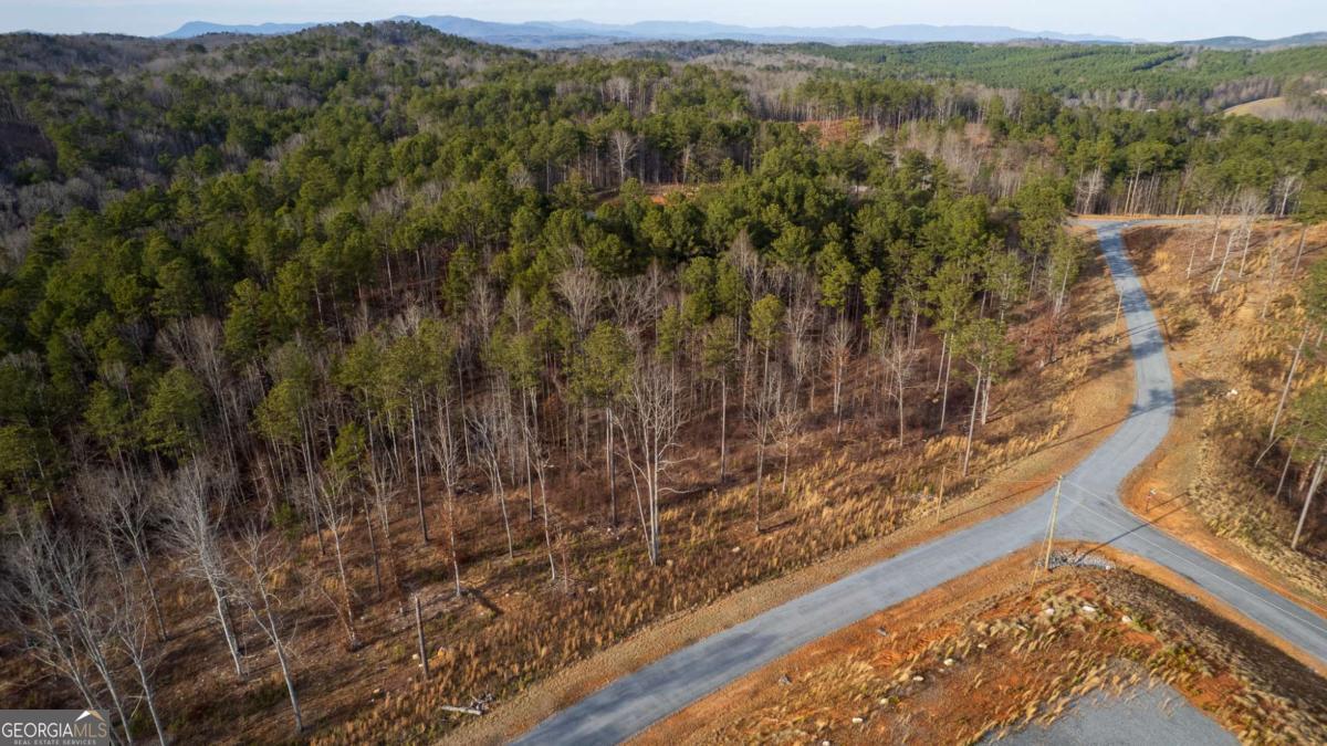 Lot 177 Shallow Water Way Talking Rock GA 30175