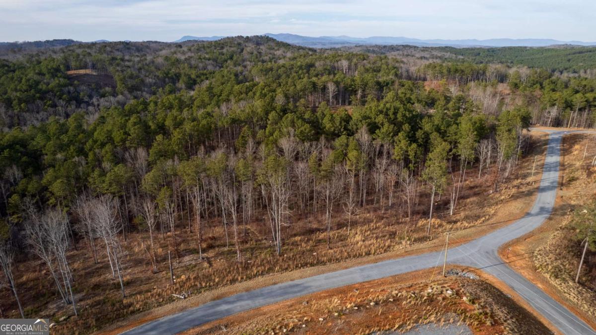 Lot 177 Shallow Water Way Talking Rock GA 30175