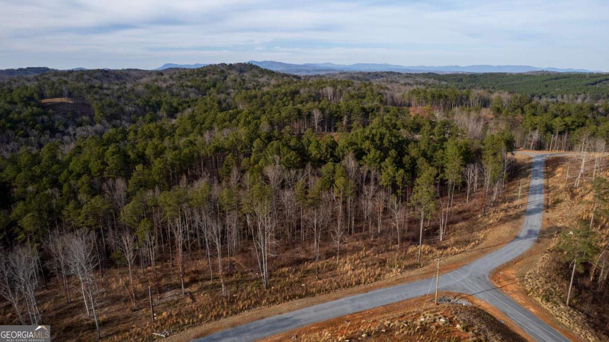 Lot 177 Shallow Water Way Talking Rock GA 30175