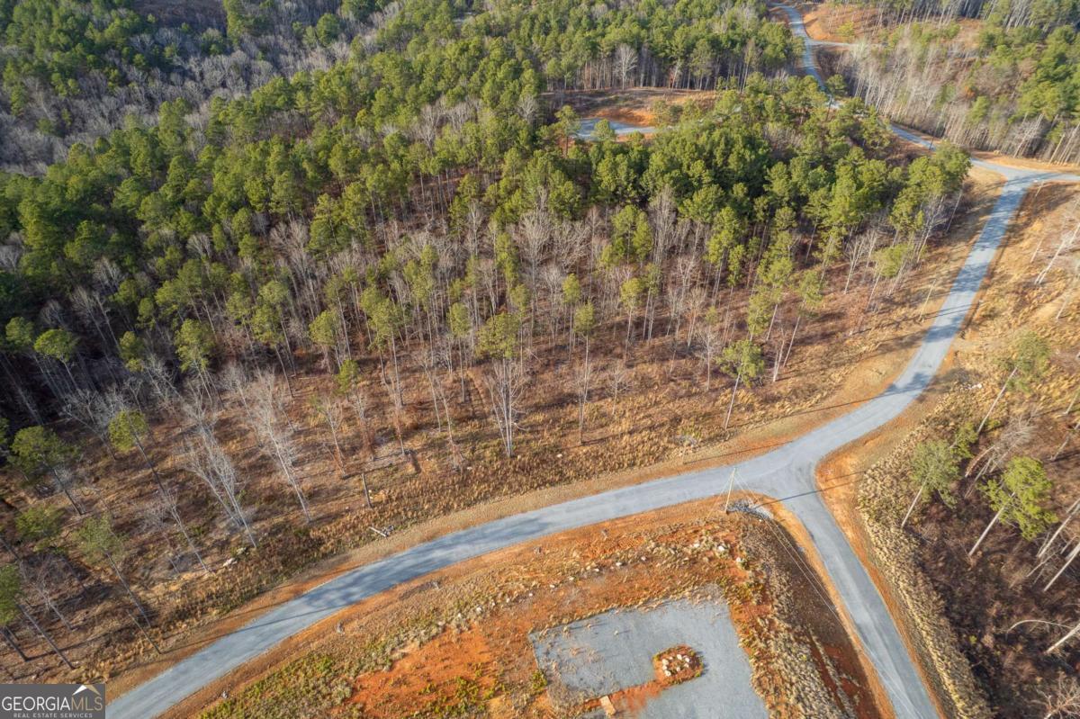 Lot 177 Shallow Water Way Talking Rock GA 30175