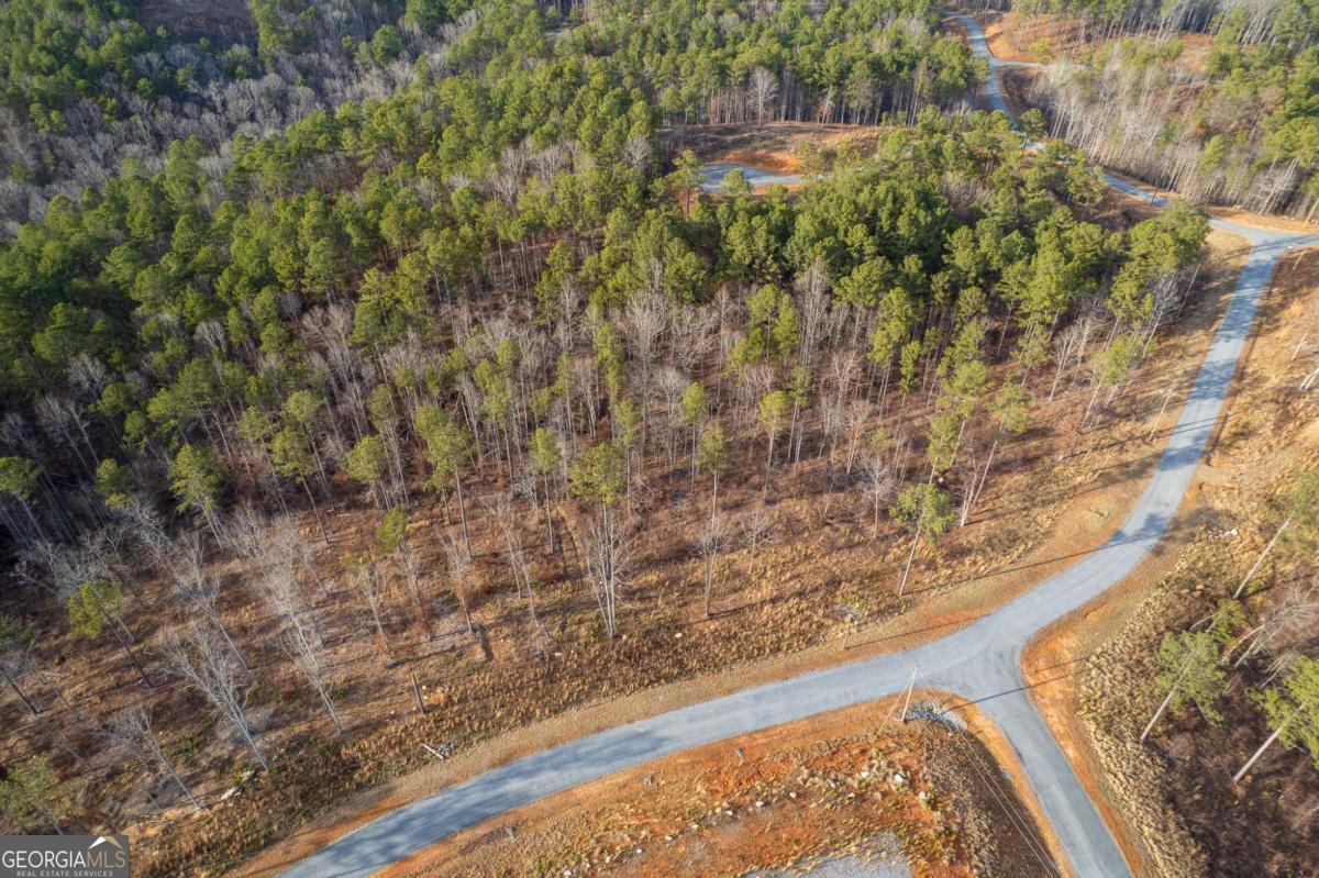 Lot 177 Shallow Water Way Talking Rock GA 30175