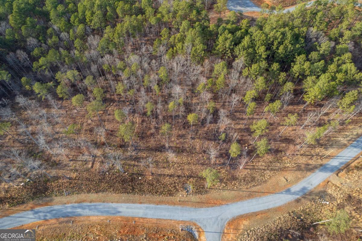 Lot 177 Shallow Water Way Talking Rock GA 30175