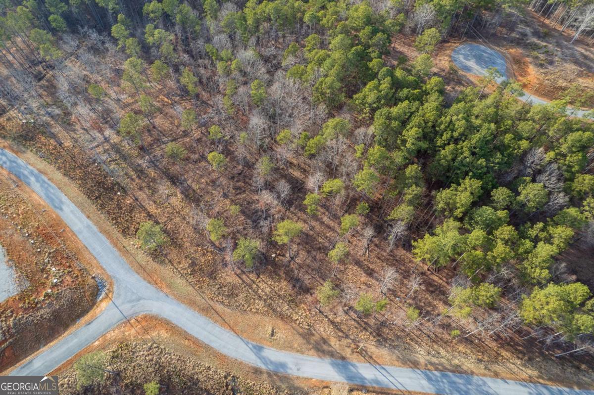 Lot 177 Shallow Water Way Talking Rock GA 30175