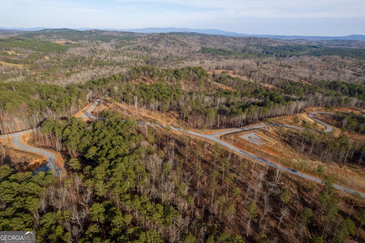 Lot 177 Shallow Water Way Talking Rock GA 30175