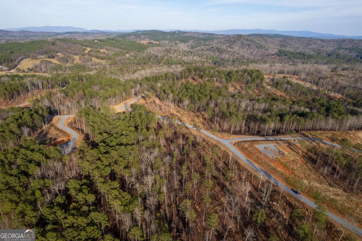 Lot 177 Shallow Water Way Talking Rock GA 30175
