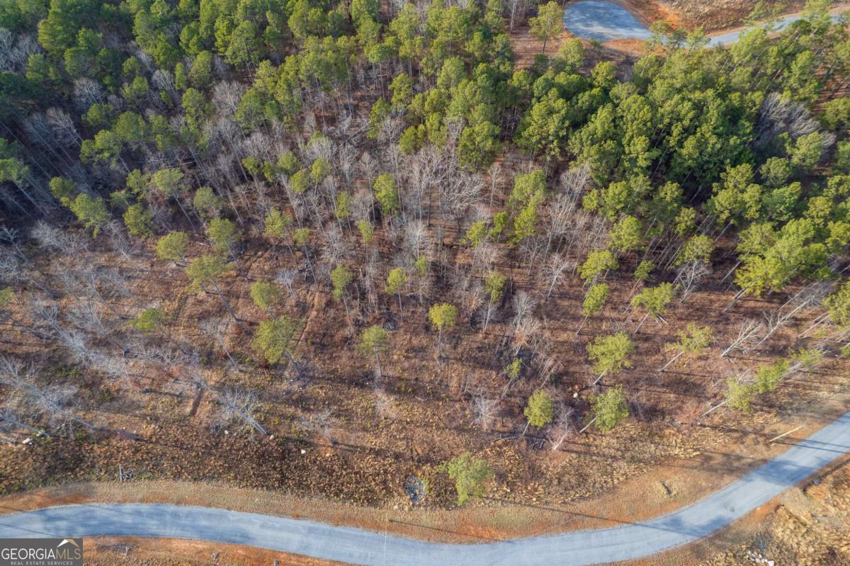 Lot 177 Shallow Water Way Talking Rock GA 30175
