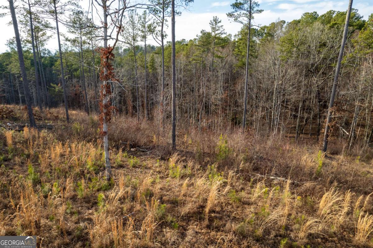 Lot 177 Shallow Water Way Talking Rock GA 30175