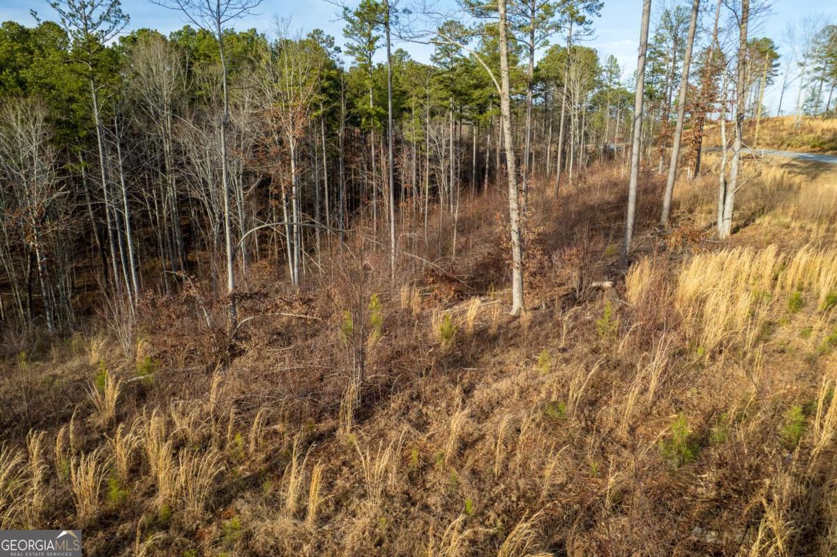 Lot 177 Shallow Water Way Talking Rock GA 30175